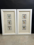 Pair Dried Pressed Flowers Wall Art Set Of 2 Framed Prints Dried Flower
