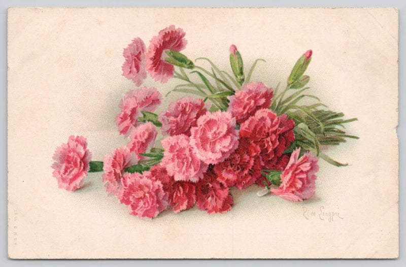 Postcard Pink Carnations Flowers Botany Flora - Signed Songpre Carnation