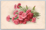 Postcard Pink Carnations Flowers Botany Flora - Signed Songpre Carnation