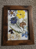Framed Pressed Flowers  Handmade Collage 5"_7" Ranunculus Nigera Hydrangea Ranunculus