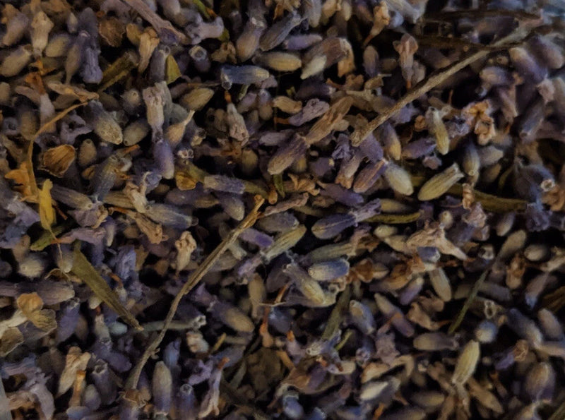 Tennessee Grown Dried Loose French Lavender Flowers 10g Dried Flower