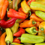 50+ CUBANELLE SEEDS NON-GMO FRESH FOR YOUR GARDEN Garden Plants