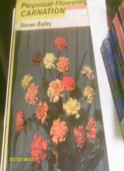 Perpetual-flowering Carnations By Steven Bailey Carnation