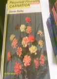Perpetual-flowering Carnations By Steven Bailey Carnation