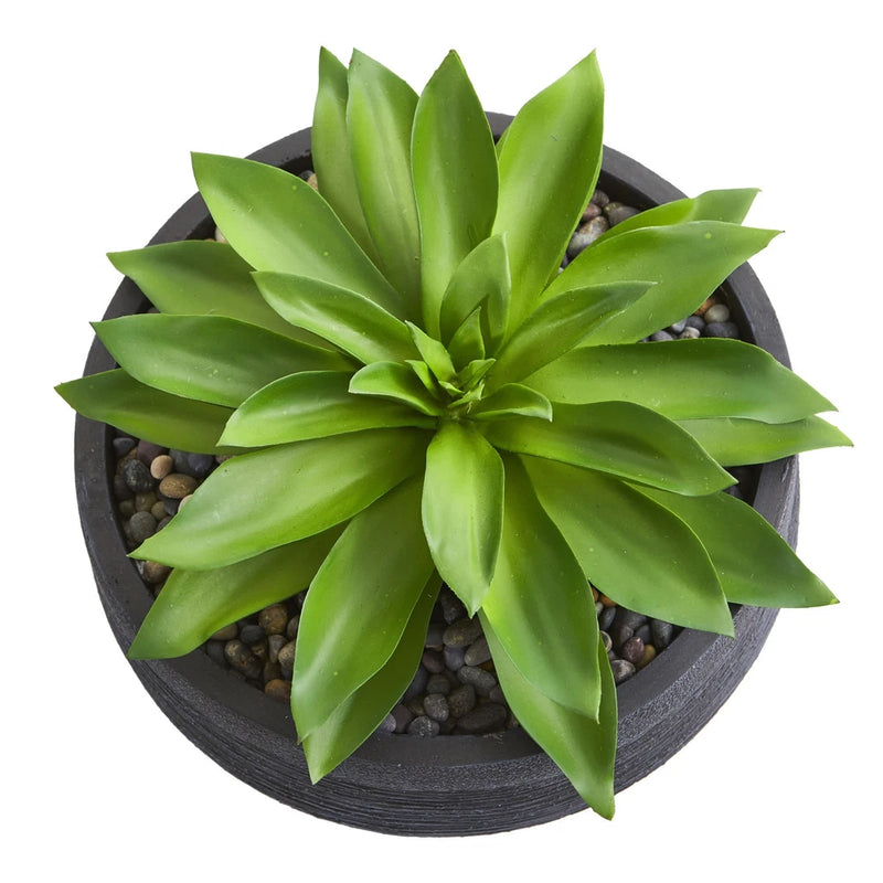 Natural Large Succulent faux Plant In Decorative Bowl Decor Green Plant
