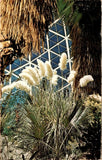 Pampas Grass, Arid Dome, Mitchell Conservatory, Milwaukee, Wisconsin, Postcard Pampas Grass
