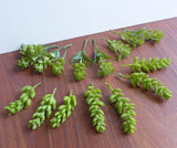 Set of 14 Miniature Artificial Succulents Grass Fair Garden decoration Green Plant