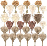 610 PCS Dried Pampas Grass Decor, Flower Bouquets for Wedding, White Pampas Grass