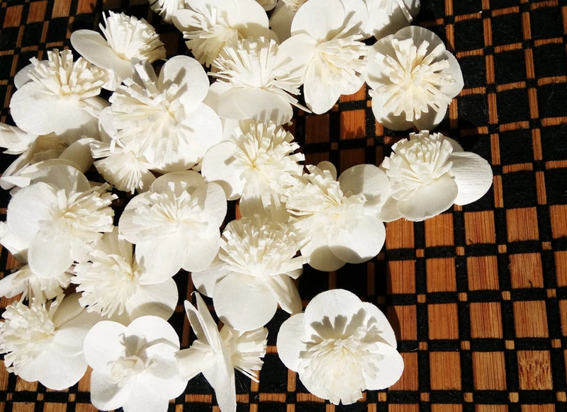 50 Orange Jasmine Sola Wood Diffuser Flowers 3 cm Dia. for Decorate Craft Peony