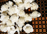 50 Orange Jasmine Sola Wood Diffuser Flowers 3 cm Dia. for Decorate Craft Peony
