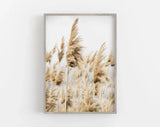 Pampas Grass Photograph Poster Premium Quality Choose your Size Pampas Grass