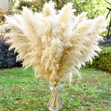 40" 11 PCS Dried Pampas Grass Decor Tall,Large Natural Beige Pompas Grass,Tall P Pampas Grass