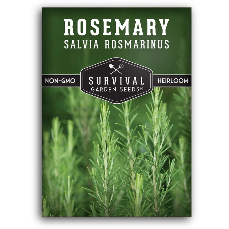 Rosemary Seeds for Planting Ð Heirloom Rosemary Herb Salvia rosmarinus for In... Garden Plants
