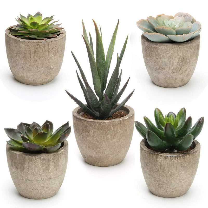 Coitak Artificial Succulent Plants Potted, Assorted Decorative Faux Succulent... Green Plant
