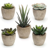 Coitak Artificial Succulent Plants Potted, Assorted Decorative Faux Succulent... Green Plant