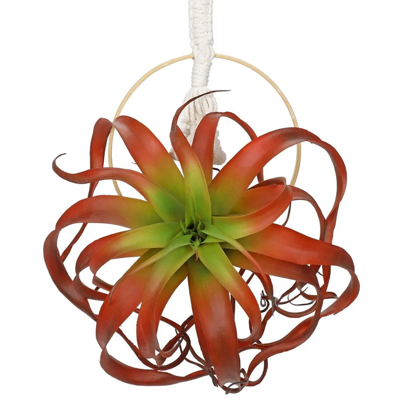 Artificial hanging fall plant with burgundy curled leaves and green center, 11-inch