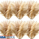 40pcs Dried Pampas Grass Bulk Wedding Decor Party Floral Arrangements Home Decor Pampas Grass