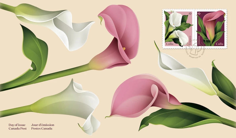 Calla lily flower postage stamp artwork with pink and white blossoms