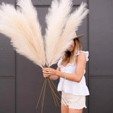 Faux Pampas Grass Decor Plume Grass Artificial Phragmites Vase Decoration 1pcs Pampas Grass