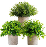 Sophias Garden Artificial Plant 3pk in pots Green Plant