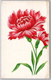 Vintage Floral Postcard - Vibrant Red & Pink Carnations - Unposted Carnation