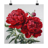 Red Peonies Flower Art Print, Red Flower Painting, Flower DŽcor 03 Peony