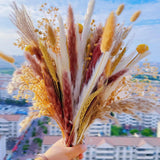 120 Pcs Natural Dried Pampas Grass Bouquet Boho Home Decor Dried Flowers for Fal Pampas Grass