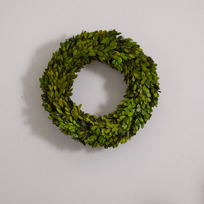 14-inch preserved boxwood wreath with dense green leaves