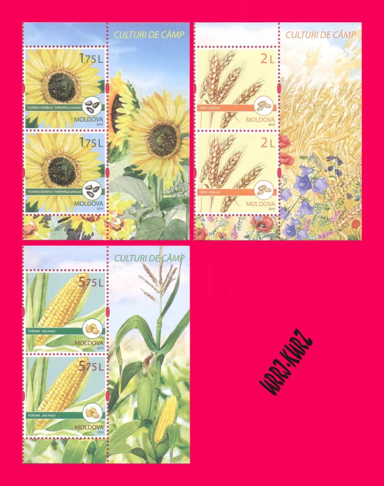 MOLDOVA 2019 Nature Flora Plants Flowers Fruits Sunflower Wheat Maize Corn 6v MN Sunflower