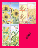 MOLDOVA 2019 Nature Flora Plants Flowers Fruits Sunflower Wheat Maize Corn 6v MN Sunflower