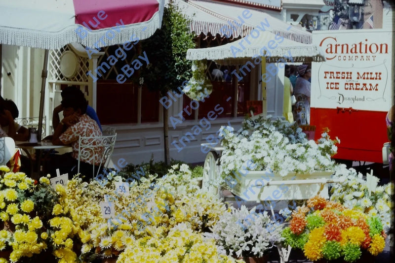 Vintage flower stand display with white umbrellas and Carnation Company signage
