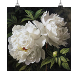 White Peonies Flower Art Print, White Flower Painting, Flower DŽcor 14 Peony