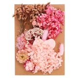 Pressed Flowers Bulk Dried Flowers Natural Pressed Flowers Leaves Various Color Dried Flower