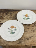 Vintage Spode Copeland England Set of 2 Bermuda Flowers Plates Poppy Ranunculus Ranunculus