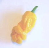 25 + seeds Peter Yellow hot pepper garden planting spicy food Garden Plants