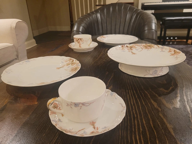 Limoges porcelain: coffee and snacks for two (Haviland "Old Carnation") Carnation