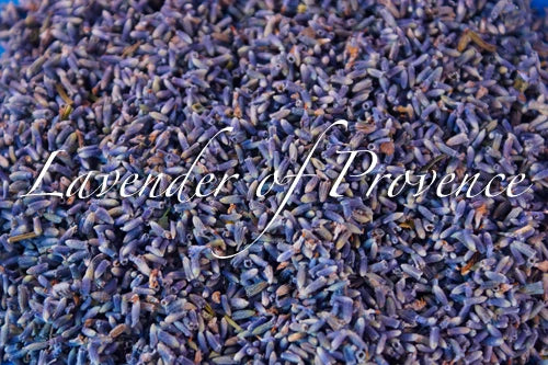 Lavender of Provence organic bulk French flower buds 1 2 4 5 8 10 16 lb  oz Dried Flower