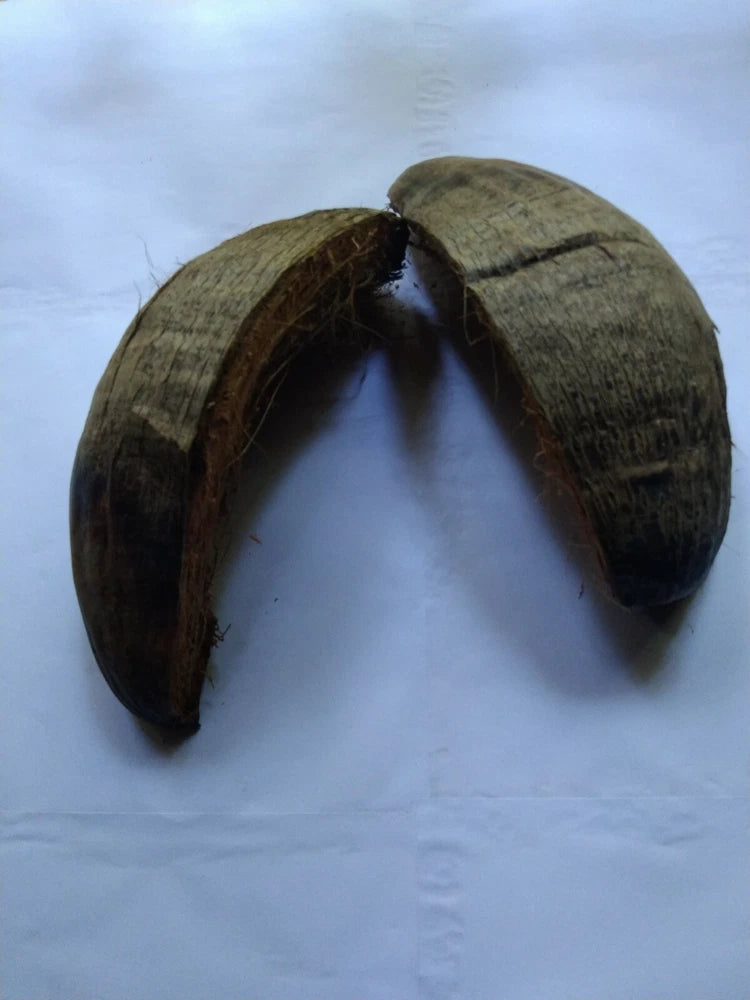 Ceylon Dried Coconut Shell Husks Orchid 100% Natural Decoration Garden Sri Lanka Garden Plants