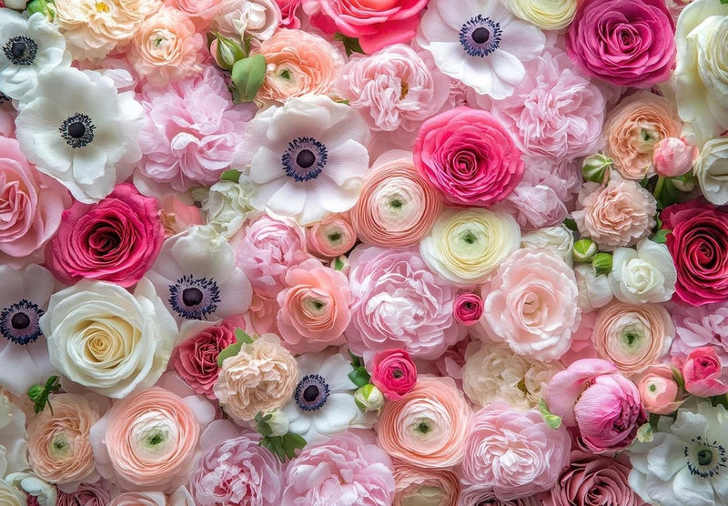 Pastel Ranunculus & Anemone Flower Bulb Mix Ð 50 Premium Bulbs for Planting | Ro Ranunculus