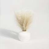Artificial Pampas in a White Rounded Ceramic Vase - 14" by Better Homes & Garden Pampas Grass