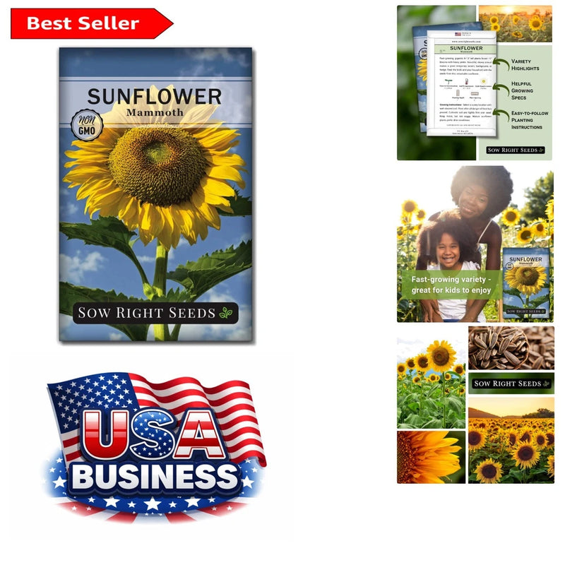Plant Beautiful Mammoth Sunflowers - Non-GMO Seeds for Bright Outdoor Gardens Garden Plants