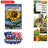 Plant Beautiful Mammoth Sunflowers - Non-GMO Seeds for Bright Outdoor Gardens Garden Plants