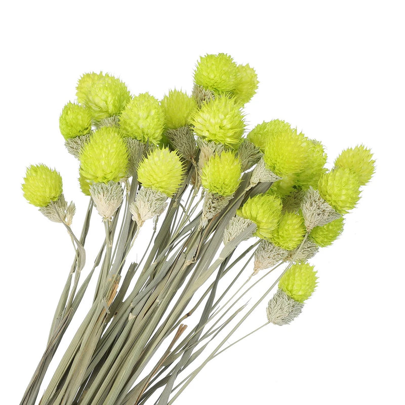 30 Pcs 16 Inch Dried Flowers for Vase Mini Pine Ball Flowers Yellow Green Dried Flower