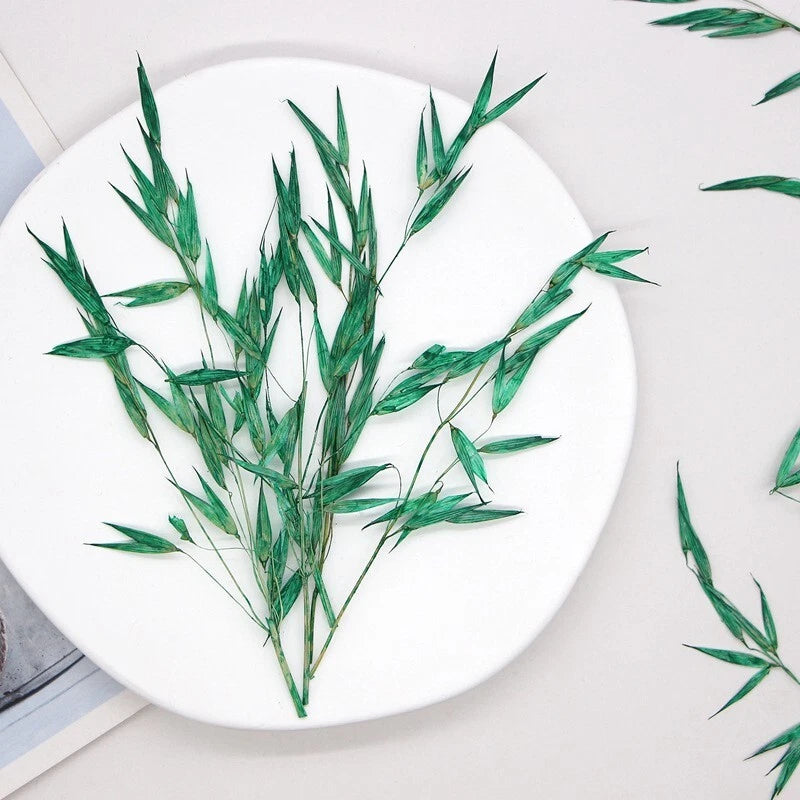 Pressed dry grass leaf sprigs, green, set of 12 for floral crafts