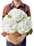 White Hydrangea Artificial Flowers, 3Pcs Large 21Ó Royal Real 3pcs, Hydrangea