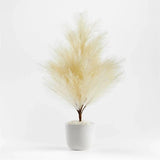 Crate & Barrel Faux Pampas Tree in Pot NEW Ivory White Holiday Christmas Modern Pampas Grass