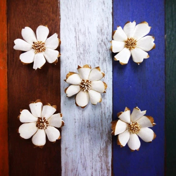30 Dianthus Balsa Sola Wood Flower Diffuser Flowers 4 cm Dia. For Decorate Craft Sunflower