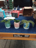 3 Piece Fake Assorted Plants Green Plant