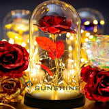 Gold Plated 24k Dipped Rose Flower In Glass Dome Romantic Gift Love For Mom Girl Roses