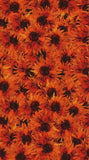 Northcott Wild Flower by Stephanie Brandenburg 40081 38 Packed Sunflowers BTY Sunflower